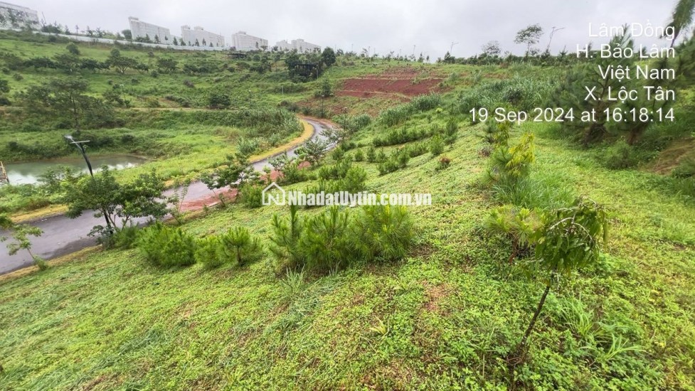 Tuyệt tác giữa đại ngàn B’LAO – Cơ hội duy nhất sở hữu đất view đồi đẹp tại đường Lý Thái Tổ 28m – TP. Bảo Lộc