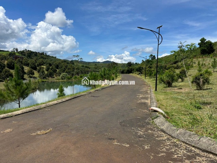 Siêu phẩm 3.414 m² đất đồi biệt thự mặt tiền Lý Thái Tổ (28m) – giá chỉ 15 triệu/m², gần cao tốc Dầu Giây – Liên Khương!