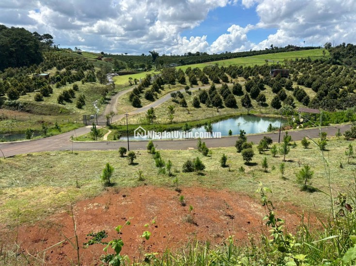 Siêu phẩm 3.414 m² đất đồi biệt thự mặt tiền Lý Thái Tổ (28m) – giá chỉ 15 triệu/m², gần cao tốc Dầu Giây – Liên Khương!