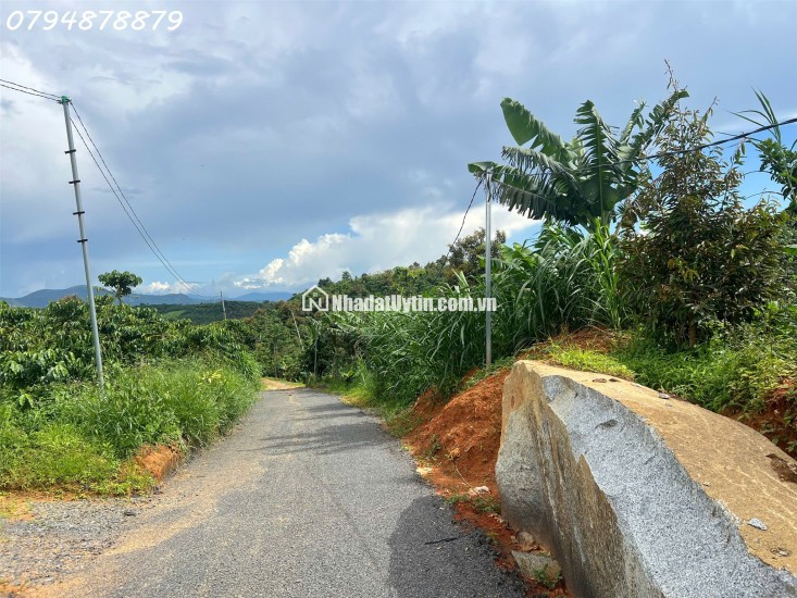  CẦN BÁN ĐẤT LỘC ĐỨC – BẢO LỘC, LÂM ĐỒNG 

 Vị trí đắc địa:

Thuộc xã Lộc Đức, Bảo Lộc – Lâm Đồng

Cách cao tốc Dầu Giây – Liên Khương chỉ