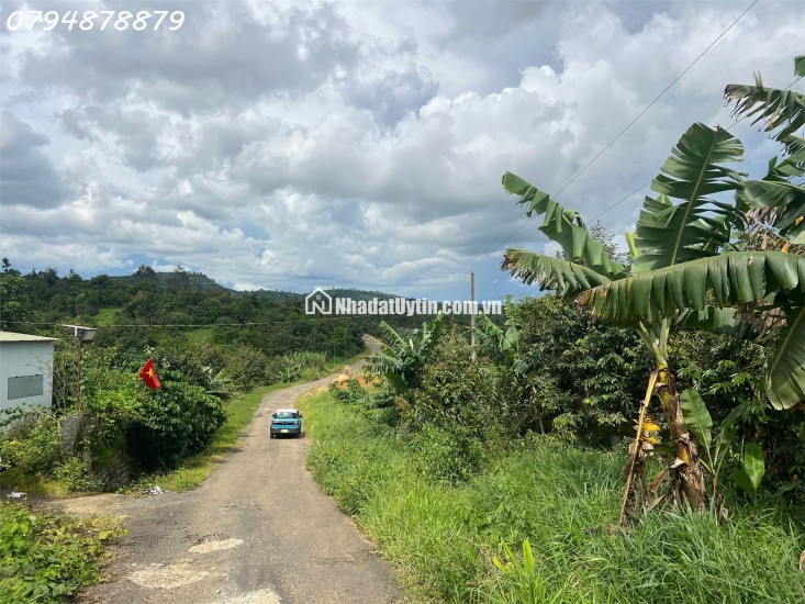  CẦN BÁN ĐẤT LỘC ĐỨC – BẢO LỘC, LÂM ĐỒNG 

 Vị trí đắc địa:

Thuộc xã Lộc Đức, Bảo Lộc – Lâm Đồng

Cách cao tốc Dầu Giây – Liên Khương chỉ
