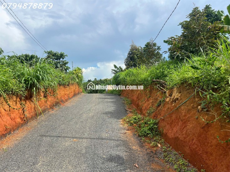  CẦN BÁN ĐẤT LỘC ĐỨC – BẢO LỘC, LÂM ĐỒNG 

 Vị trí đắc địa:

Thuộc xã Lộc Đức, Bảo Lộc – Lâm Đồng

Cách cao tốc Dầu Giây – Liên Khương chỉ