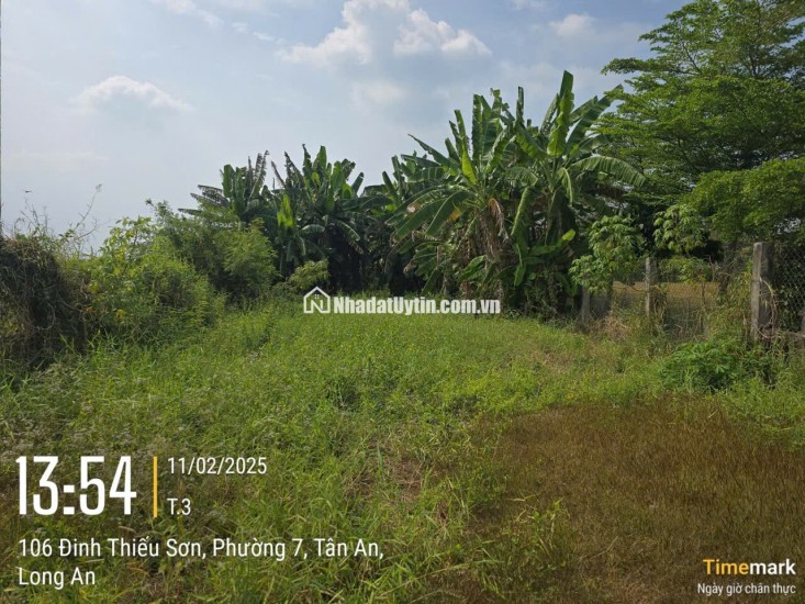 Chính chủ bán đất 1030m2 giá 7,2 tỷ, tp. Tân An, Long An