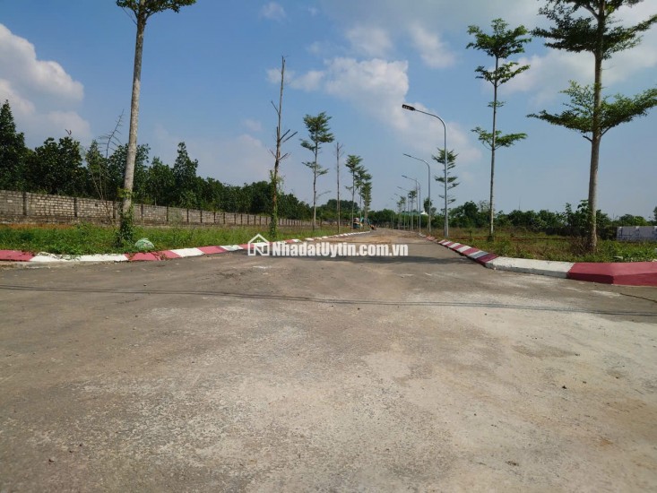 Chính chủ bán đất tại La gián, Cổ đông, sơn tây 100m2 MT 5.50m giá FO cho nhà đầu tư.
