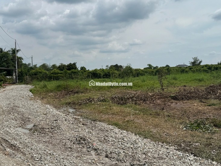 BÁN ĐẤT NỀN GIÁ RẺ –200TR XÃ BẦU ĐỒN, GÒ DẦU, TÂY NINH