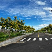 Siêu phẩm 3.414 m² đất đồi biệt thự mặt tiền Lý Thái Tổ (28m) – giá chỉ 15 triệu/m², gần cao tốc Dầu Giây – Liên Khương!