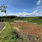 BÁN LÔ ĐẤT NỀN KHU NGHỈ DƯỠNG P2 BẢO LỘC, CÁCH NGÃ 5 ĐAMBRI  6 PHÚT ĐI XE