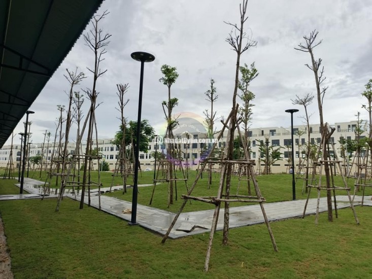 Bán đất dự án trả góp không lãi suất,đất đẹp ở mặt tiền QL19 Quy Nhơn Giá chỉ từ 2,2 tỷ/lô diện tích 80m2,