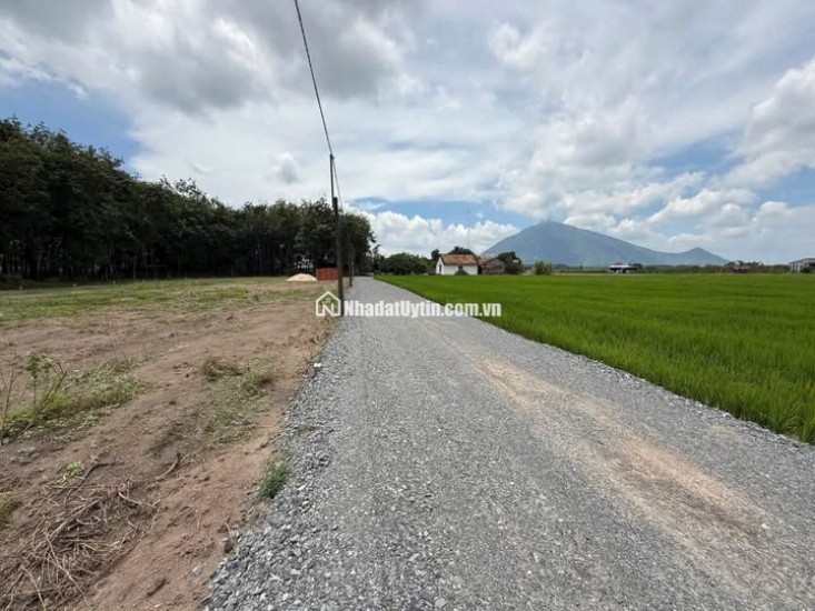 Sống Xanh – Đầu Tư An Toàn Tại Đất Nền Dương Minh Châu, Tây Ninh