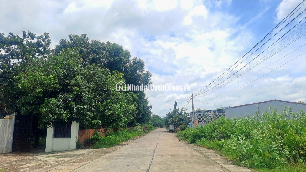  SỞ HỮU NGAY LÔ ĐẤT TRUNG TÂM ĐẠI HIỆP – GẦN CHỢ, GẦN TRƯỜNG, GIÁ SIÊU MỀM!