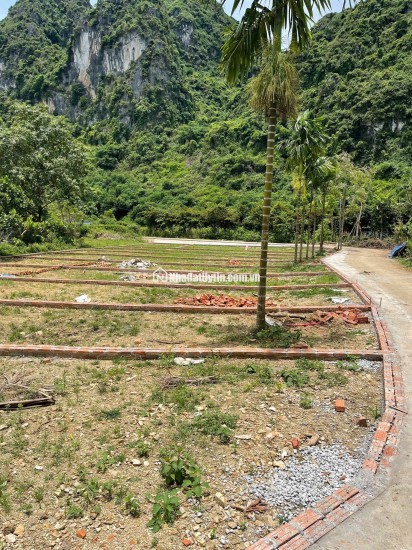 TÌM NƠI AN CƯ – CHỌN ĐẤT ĐẸP GẦN KCN THANH SƠN!  Chỉ từ 3XX triệu/nền, sổ đỏ sẵn sàng công chứng!