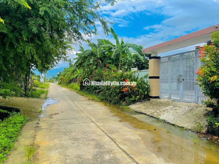  ĐẤT ĐẸP TRỤC CHÍNH ĐẠI HIỆP – GIÁP RANH HOÀ KHƯƠNG, HOÀ VANG 