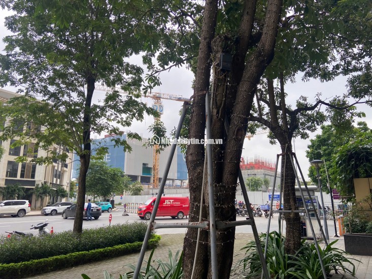  CHO THUÊ 243M2 TẦNG 1 – TÒA 6TH ELEMENT, TÂY HỒ TÂY – PHÙ HỢP LÀM NGÂN HÀNG, THƯƠNG HIỆU LỚN