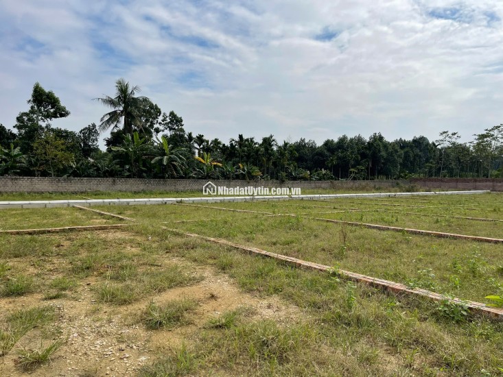 NẮM BẮT CƠ HỘI VÀNG ĐÓN TRỌN QUỸ ĐẤT HIẾM - ĐẦU TƯ SIÊU LỢI NHUẬN ĐẤT NỀN HAMI CAO DƯƠNG LƯƠNG SƠN HOÀ BÌNH nay là Phú Thọ