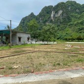 TÌM NƠI AN CƯ – CHỌN ĐẤT ĐẸP GẦN KCN THANH SƠN!  Chỉ từ 3XX triệu/nền, sổ đỏ sẵn sàng công chứng!