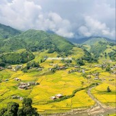 BÁN MẢNH ĐẤT CHÍNH CHỦ VIEW THUNG LŨNG MƯỜNG HOA - SAPA - TỈNH LÀO CAI 9.9 TỶ