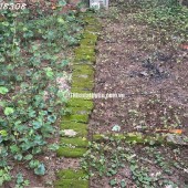 Bán đất mặt phố Phương Canh - phường Xuân Phương, 106m2