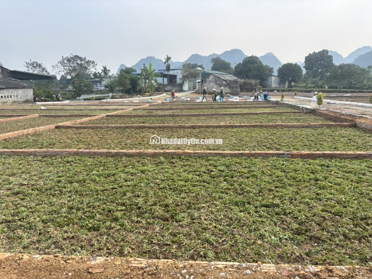 CHỈ VỚI 3xxTRIỆU - CƠ HỘI TĂNG TÀI SẢN BỨT PHÁ 