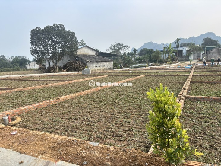 CHỈ VỚI 3xxTRIỆU - CƠ HỘI TĂNG TÀI SẢN BỨT PHÁ 