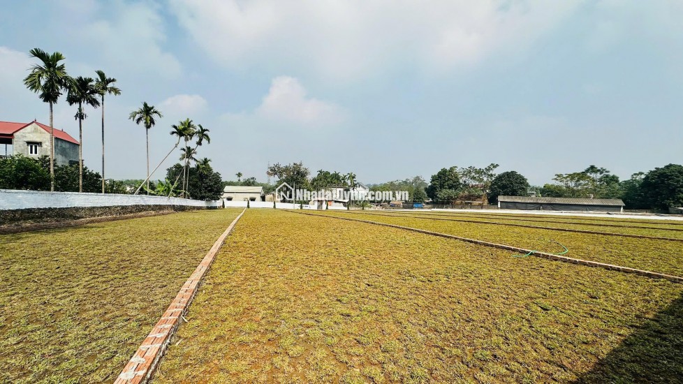 BÁN ĐẤT GIÁ ĐẦU TƯ – SÁT KCN NHUẬN TRẠCH LƯƠNG SƠN HÒA BÌNH  GIÁ CHỈ VÀI TRIỆU/M2