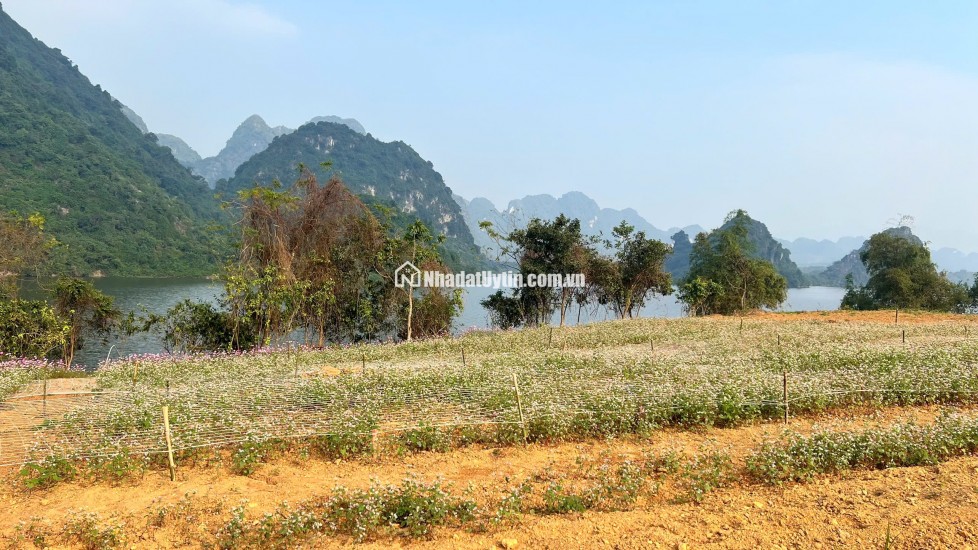 Phân phối Biệt Thự nghỉ dưỡng dự án Utopia Phú Thọ (Hòa Bình cũ)