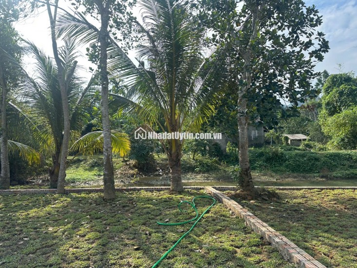  Hơn 300tr Sở Hữu Đất Kim Bôi, Hoà Bình – Vị Trí Đẹp, Pháp Lý Chuẩn