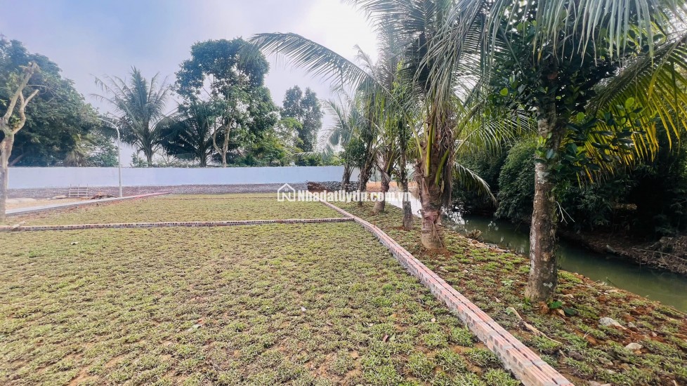  Hơn 300tr Sở Hữu Đất Kim Bôi, Hoà Bình – Vị Trí Đẹp, Pháp Lý Chuẩn