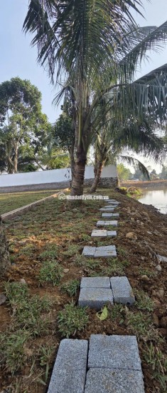 Chỉ hơn 300tr sở hữu ngay đất nền LK Serena khoáng nóng (SunGroup). Kim Bôi, Hoà Bình.