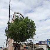 METRO SÀI GÒN THAM LƯƠNG ĐIỂM NHẤT ĐÔNG HƯNG THUẬN QUÂN 12
GIÁ HIẾM CHỈ 6,8TY SỞ HỮU 100M2