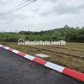 195 TRIỆU – MUA ĐƯỢC GÌ Ở TRUNG TÂM AN BÌNH, LẠC THUỶ, HOÀ BÌNH