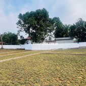  Hơn 300tr Sở Hữu Đất Kim Bôi, Hoà Bình – Vị Trí Đẹp, Pháp Lý Chuẩn