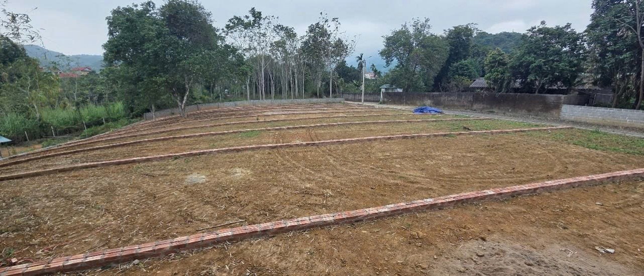  ĐẤT ĐÔ THỊ TRUNG TÂM TP. HÒA BÌNH – CHỈ HƠN 3 TRIỆU/M² 