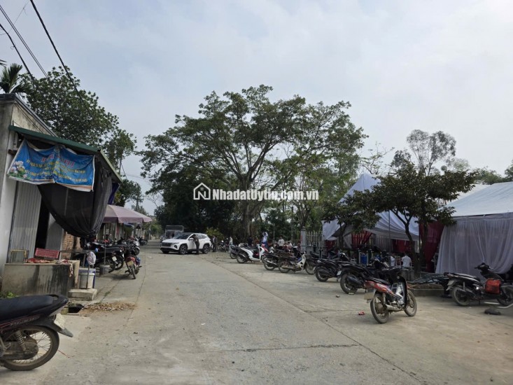 LÔ ĐẤT 98,1M FULL THỔ CƯ TẠI TÂN YÊN, TRƯỜNG YÊN, CHƯƠNG MỸ, HÀ NỘI