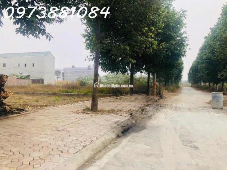 CHỦ CẦN TIỀN BÁN NHANH LÔ ĐẤT SIÊU ĐẸP SÁT KHU ĐẤU GIÁ ĐỒNG MÔ LAKE SIDE