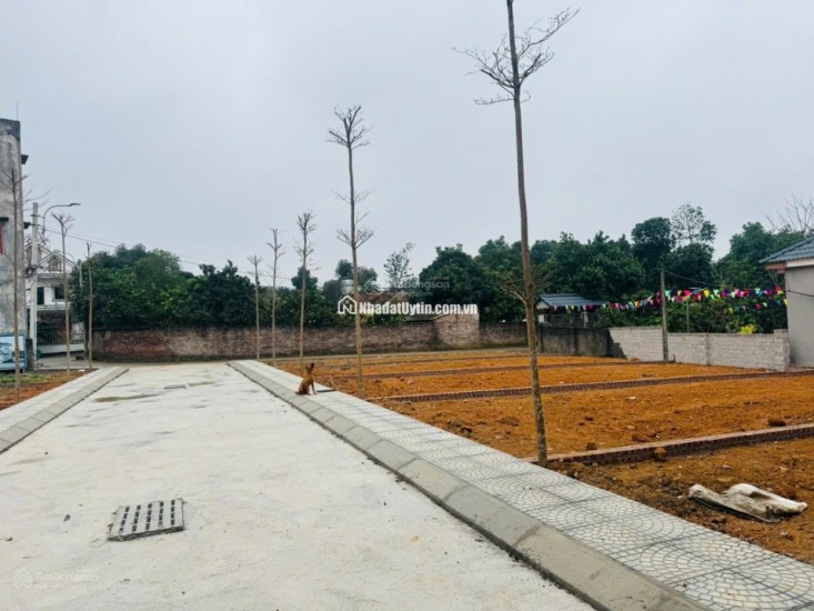 Bán lô góc chợ Phú Cát, tâm điểm hạ tầng đón sóng Metro 5 Hòa Lạc