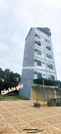 Bán đất chính chủ tại Xã Cổ Đông, Sơn Tây, Hà Nội, 30 triệu/m2, S= 100 m2 full thổ cư