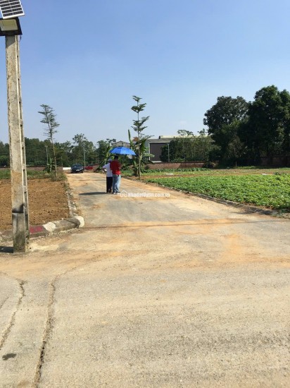 Chính Chủ Bán đất Liền Kề  tái định cư Bắc Phú Cát/ Hòa Lạc  101.7m2 đất fun thổ cư. 4.x tỷ , lh 0966329691