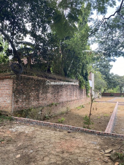 CHÍNH CHỦ CẮT LỖ 300TR BÁN NHANH 2 LÔ MẶT ĐƯỜNG PHÚ CÁT, CÁCH ĐẠI HỌC QUỐC GIA 1KM.