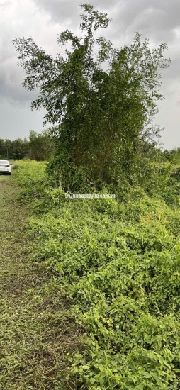 KẸT  TIỀN CẦN BÁN LÔ ĐẤT 2 MẶT TIỀN :DT 8M X 86= 688M2 CHỈ 1.6 TỶ. LH:0903198949.