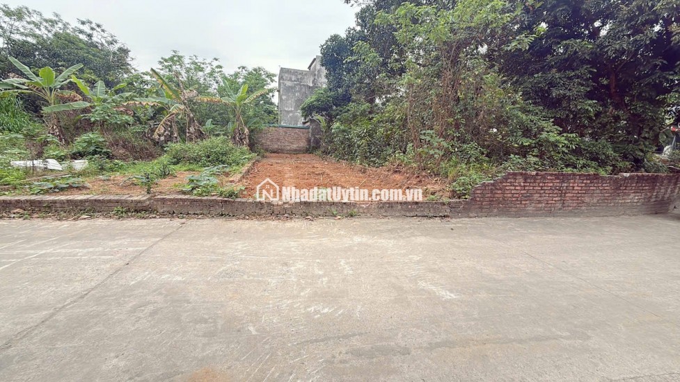 CÂN BÁN NHÀ  ĐẤT TẠI THANH HUỆ ĐỨC HÒA CŨ  , DT 138 M NHÀ RÀNH CHO 1 GIA ĐÌNH 5-7 NGƯỜI Ở