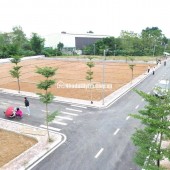 Chính Chủ Bán đất Liền Kề  tái định cư Bắc Phú Cát/ Hòa Lạc  101.7m2 đất fun thổ cư. 4.x tỷ , lh 0966329691