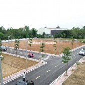 MỎ VÀNG HOÀ LẠC, PHÁP LÝ CHUẨN . SANG TÊN NGÂY