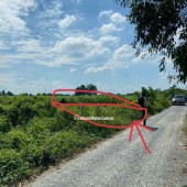 KẸT  TIỀN CẦN BÁN LÔ ĐẤT 2 MẶT TIỀN :DT 8M X 86= 688M2 CHỈ 1.6 TỶ. LH:0903198949.