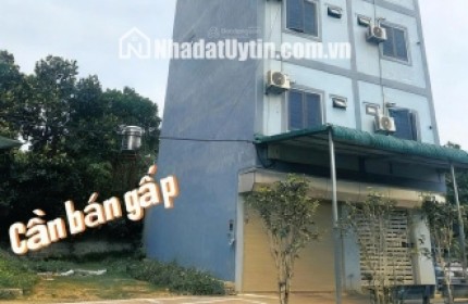 Bán đất chính chủ tại Xã Cổ Đông, Sơn Tây, Hà Nội, 30 triệu/m2, S= 100 m2 full thổ cư