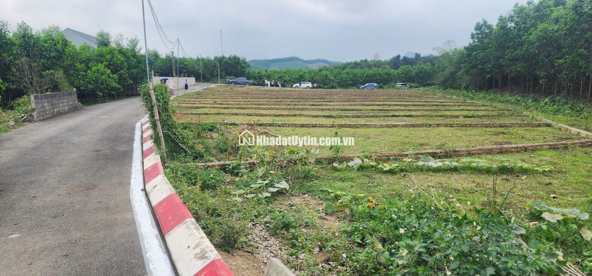  Quỹ đất vùng ven GIÁ RẺ: Chỉ 215 triệu sở hữu ngay lô đất gần 100m2 pháp lý an toàn: