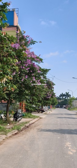 Khu đô thị đồng cửa Lục Nam