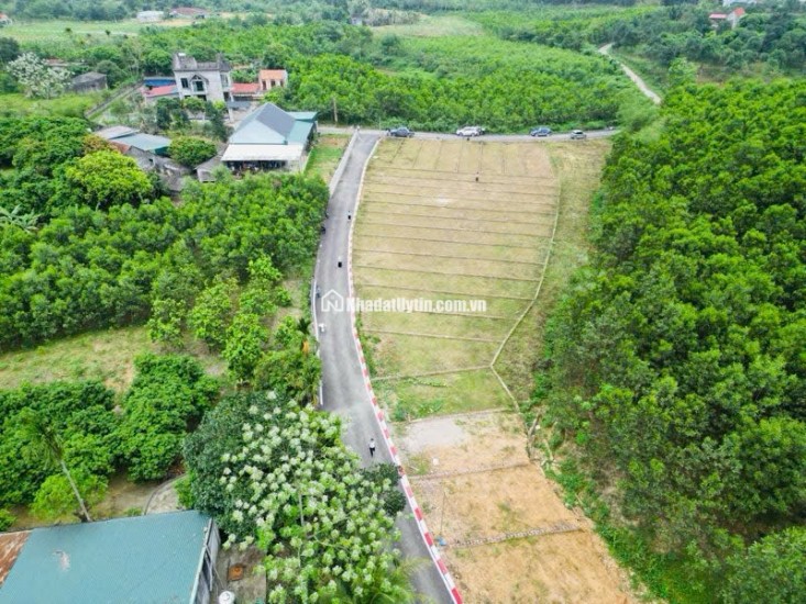  Quỹ đất vùng ven GIÁ RẺ: Chỉ 215 triệu sở hữu ngay lô đất gần 100m2 pháp lý an toàn: