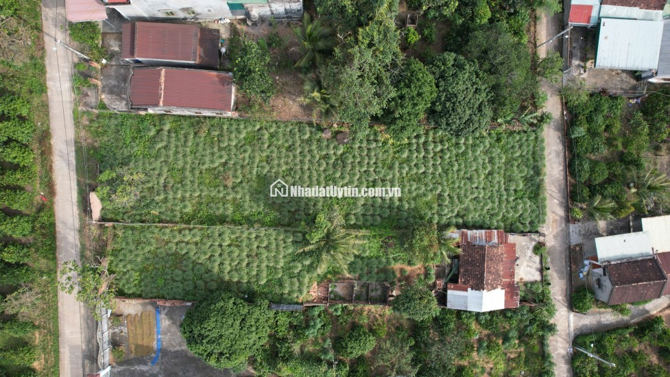  Siêu phẩm đất vàng Đăk Hà, Kon Tum cho nhà đầu tư 