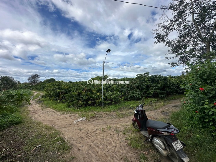  Siêu phẩm đất vàng Đăk Hà, Kon Tum cho nhà đầu tư 