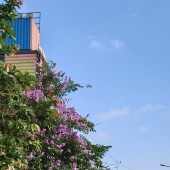 Khu đô thị đồng cửa Lục Nam